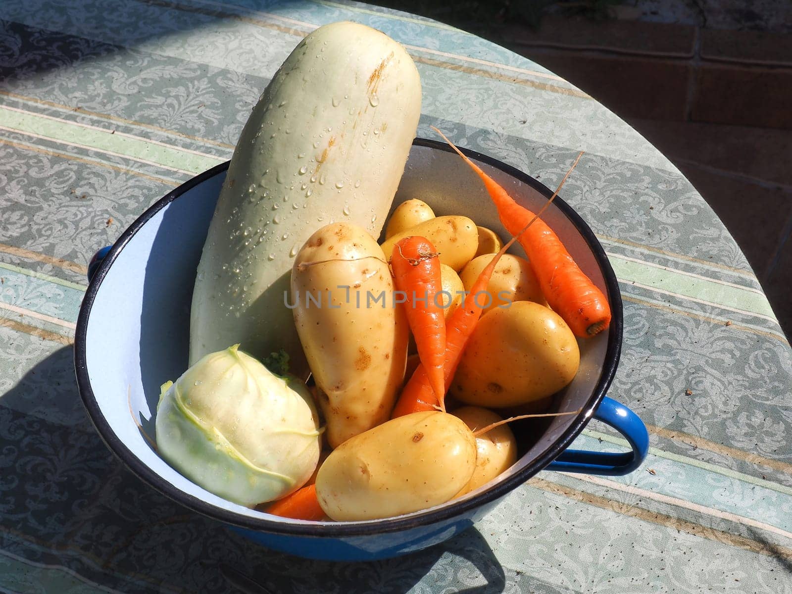 fresh picked vegetables in metal bucket