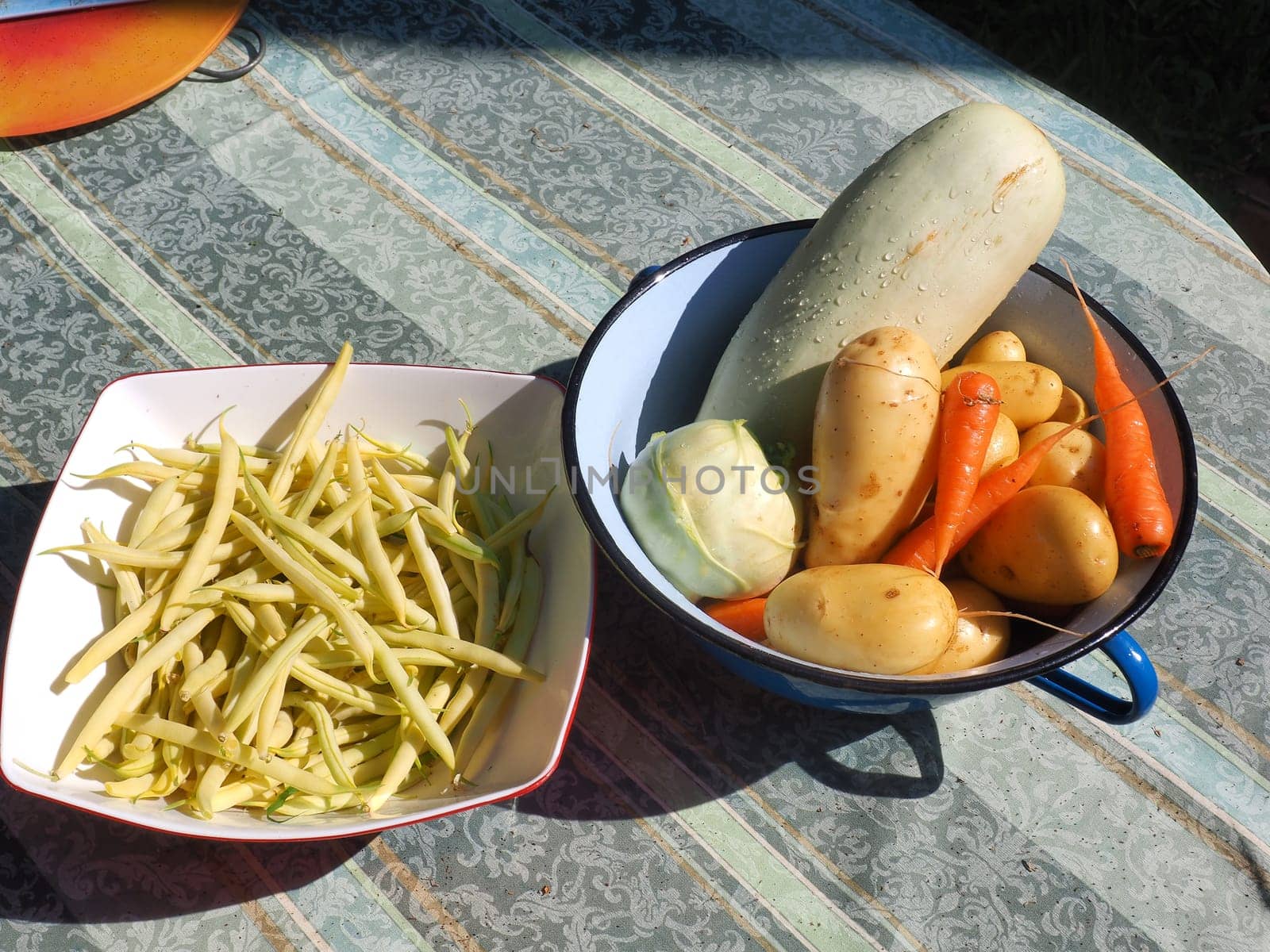 fresh picked vegetables in metal bucket