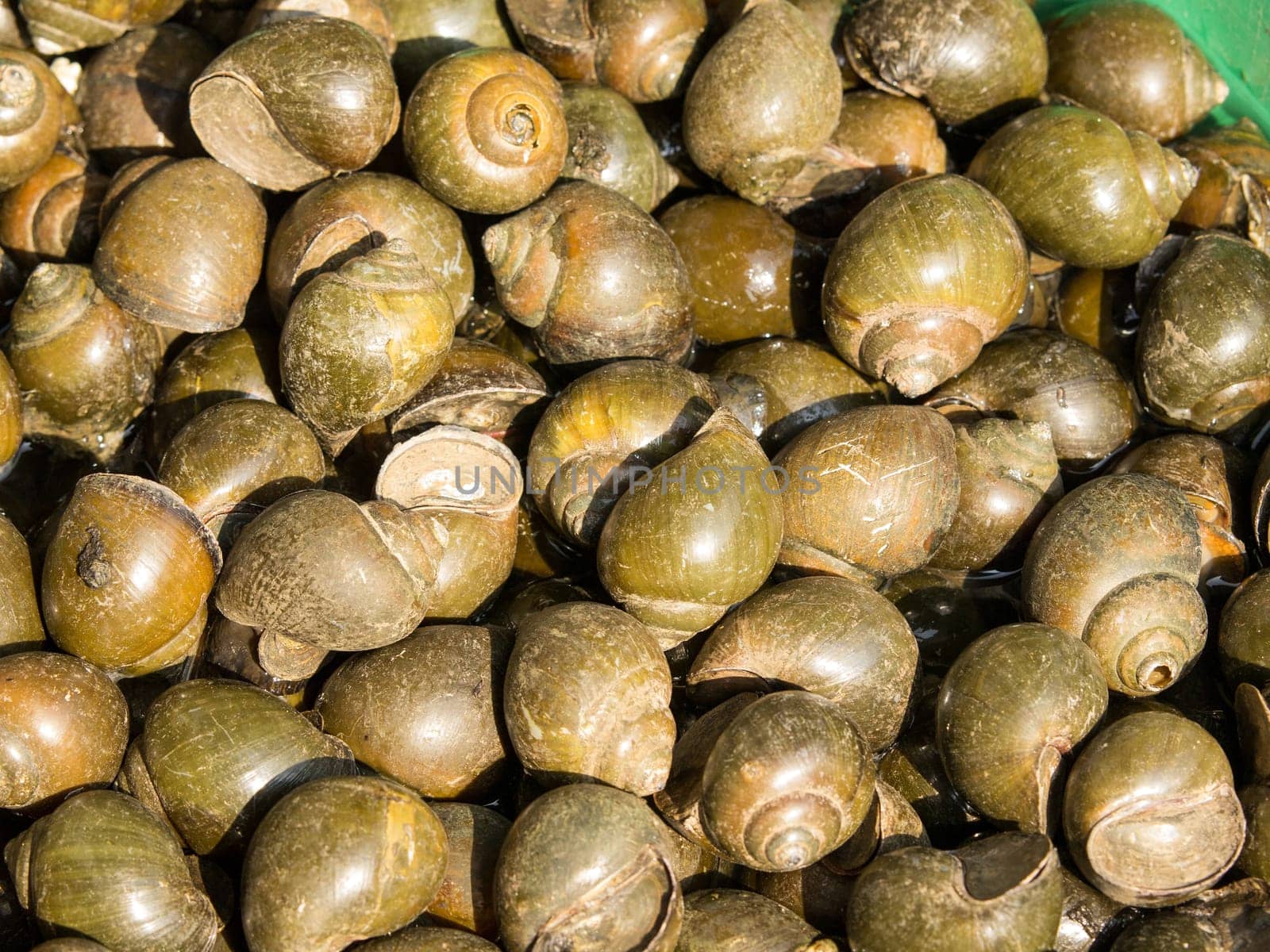 A background of periwinkles for sale at a market