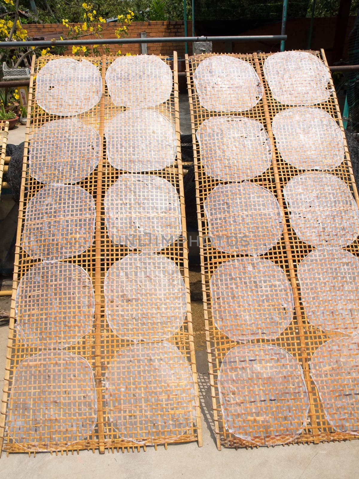 rice paper in mekong delta vietnam