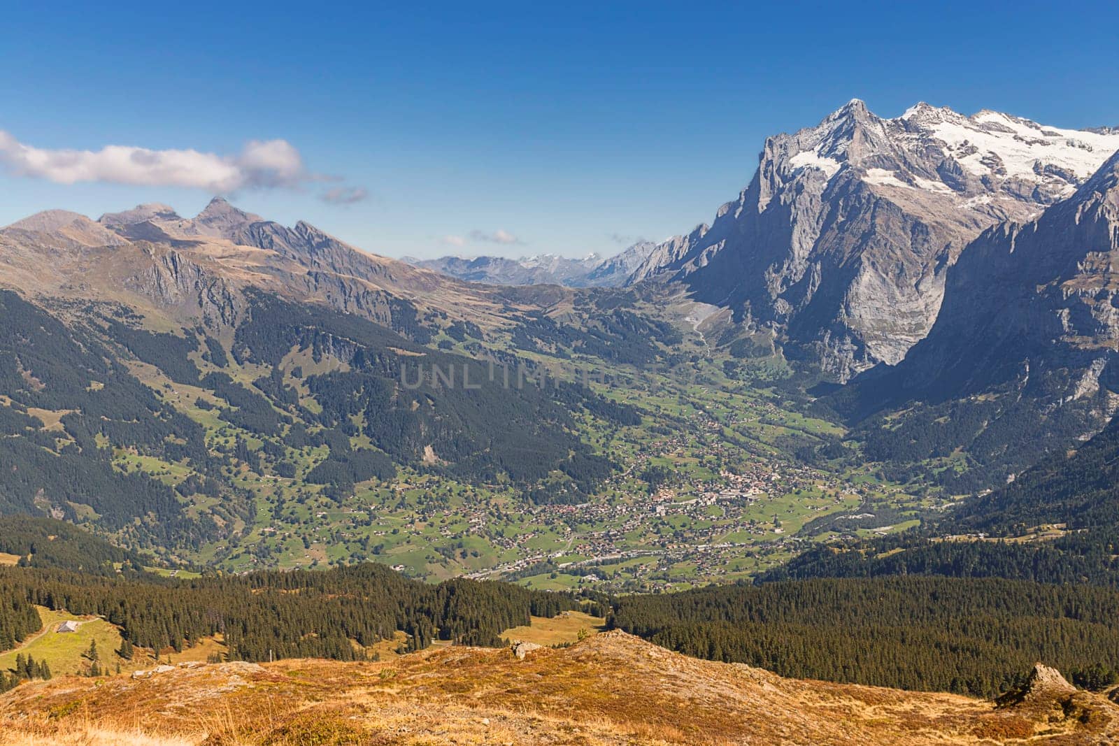 View of Grindelwald