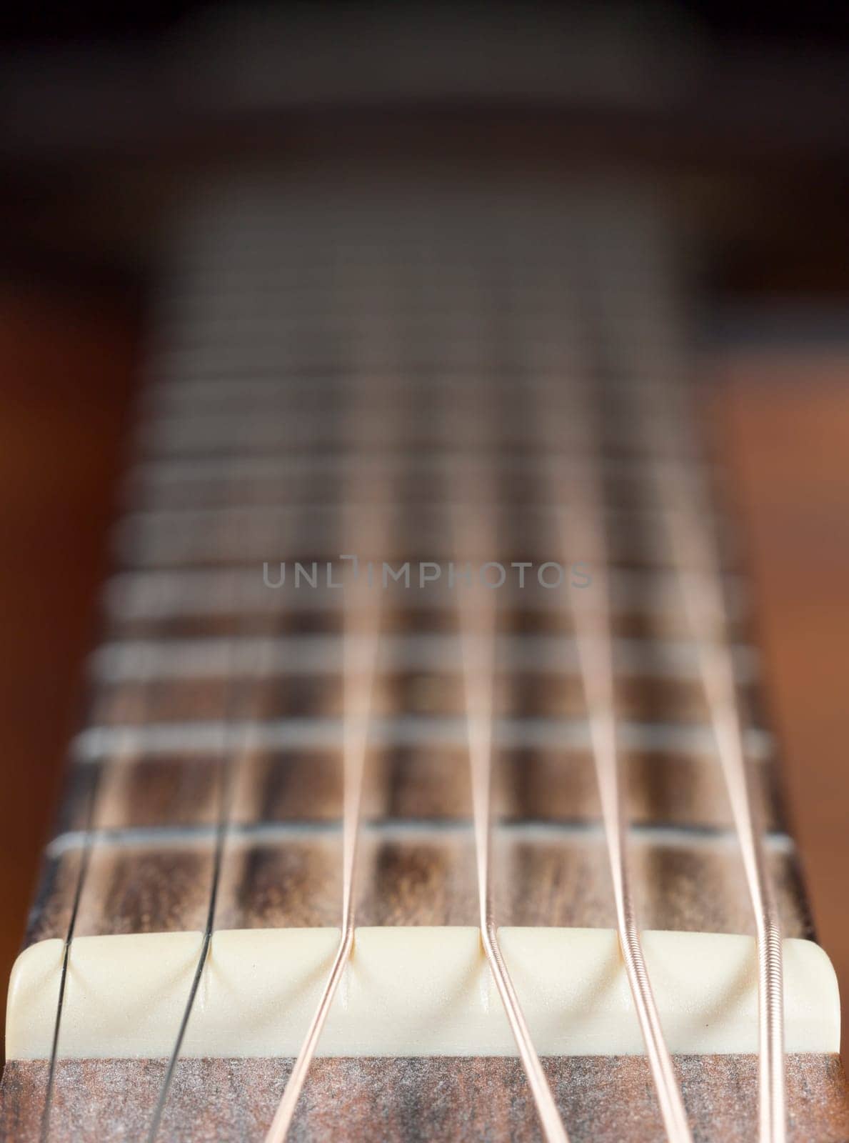 Guitar Nut and Strings on a steel string guitar.