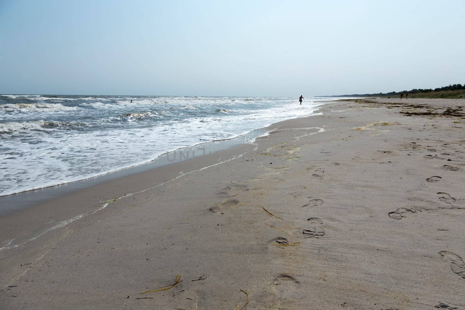 Individual wanders on the edge of the surf
