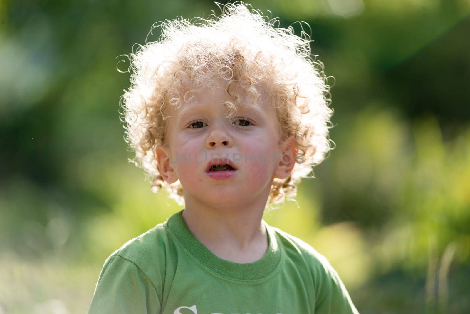 a portrait of a little blond curly boy
