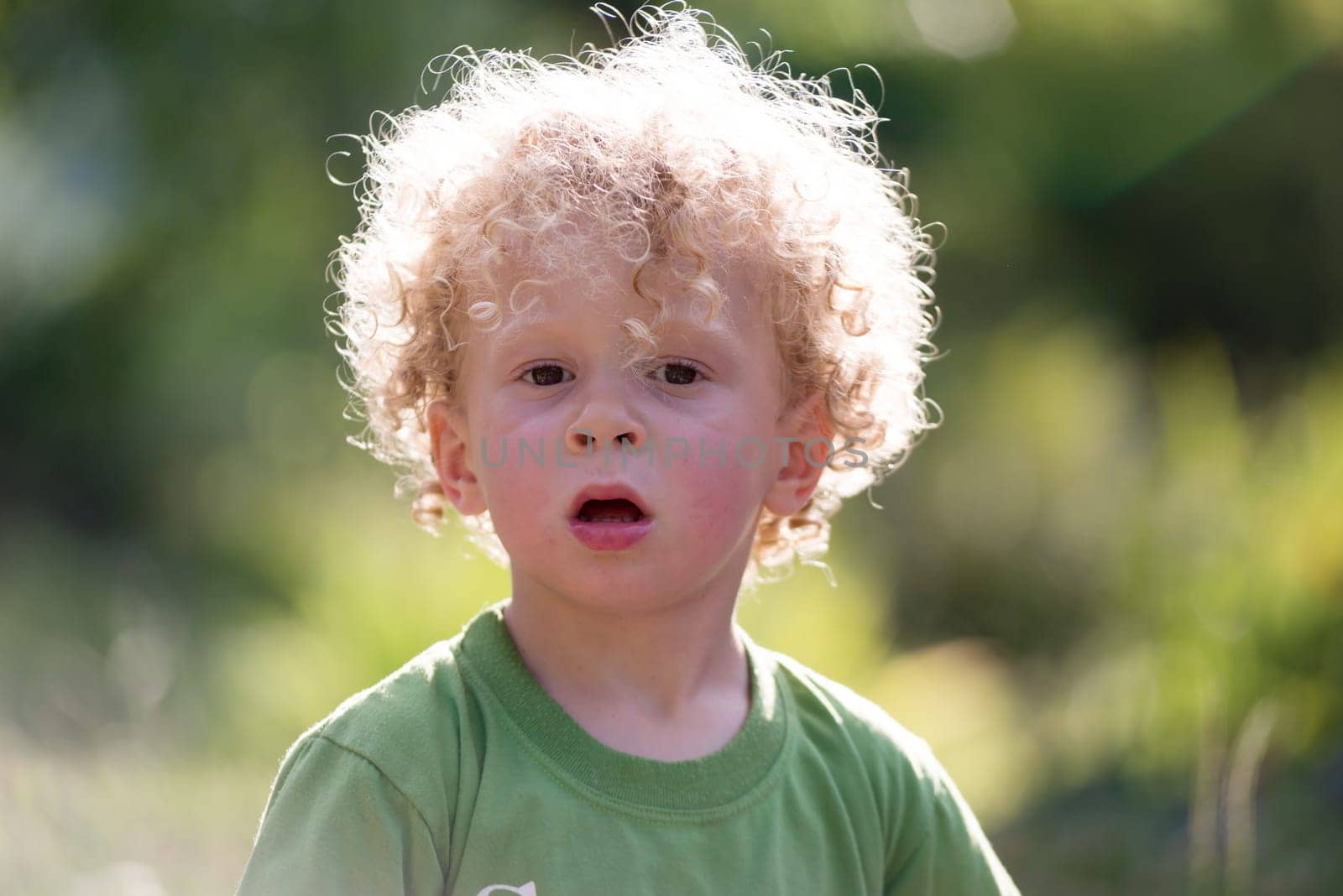 a portrait of a little blond curly boy