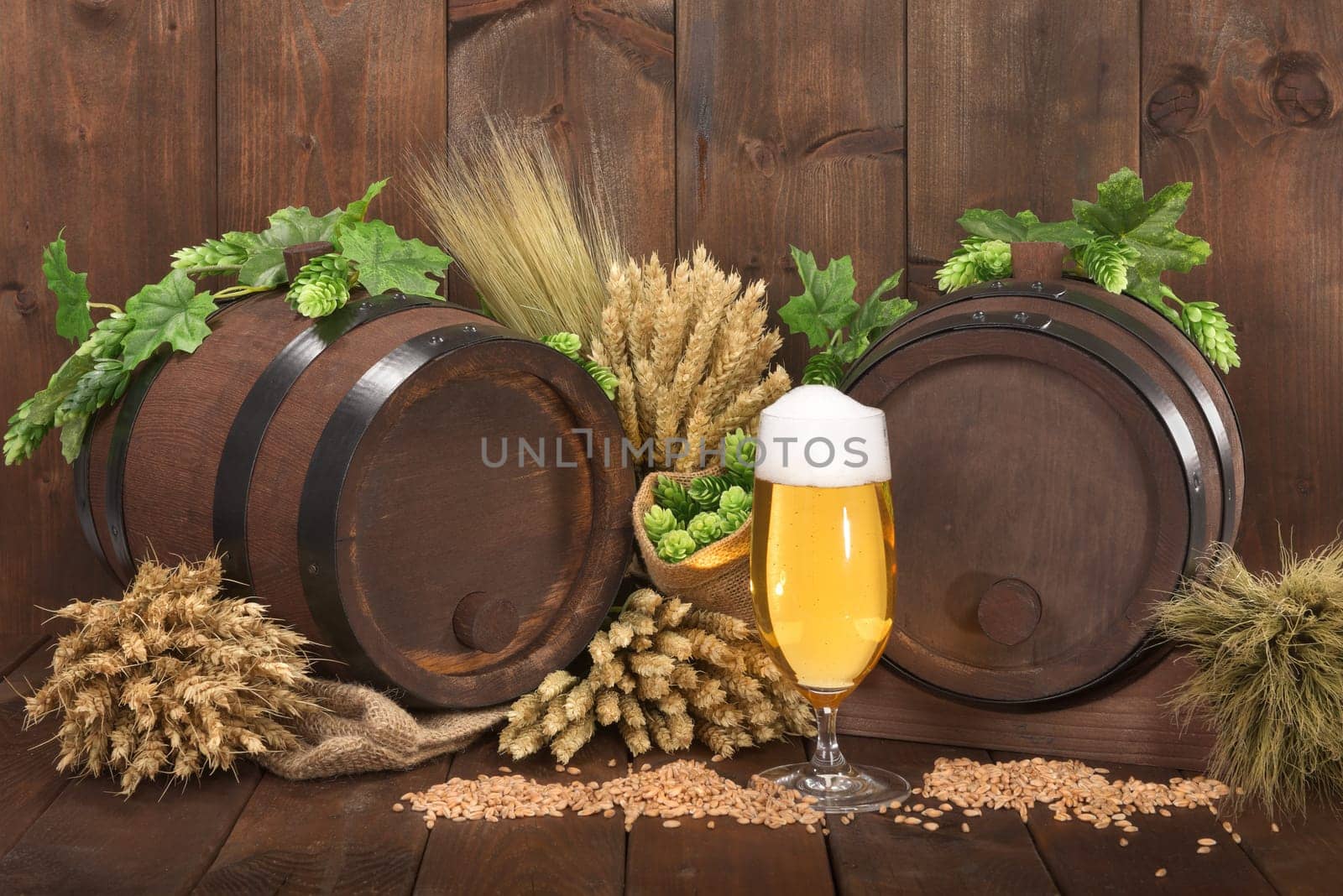 Two beer barrels with beer glass,wheat,barley,hops and malt