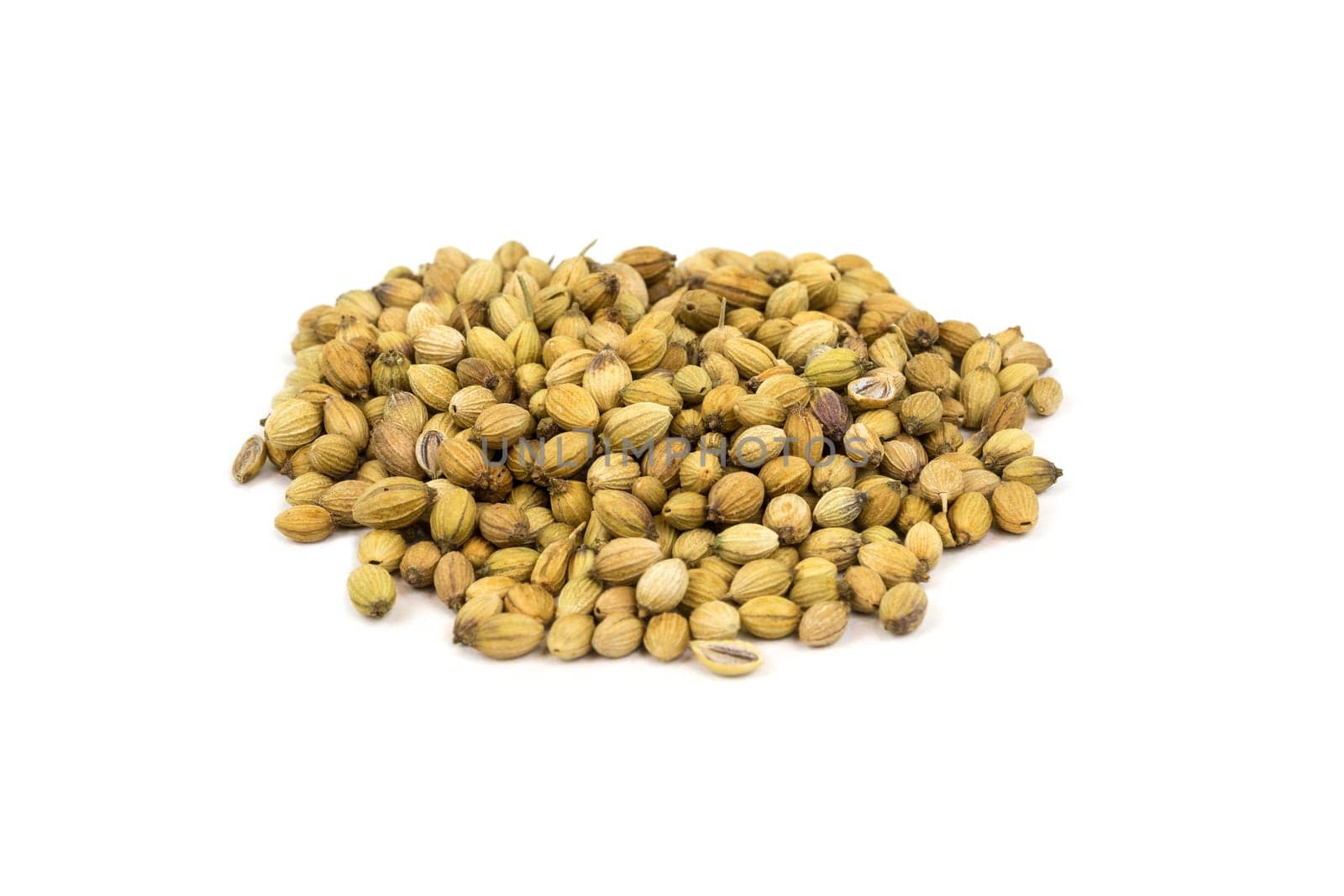 Coriander,close-up of seeds for use as a spice
