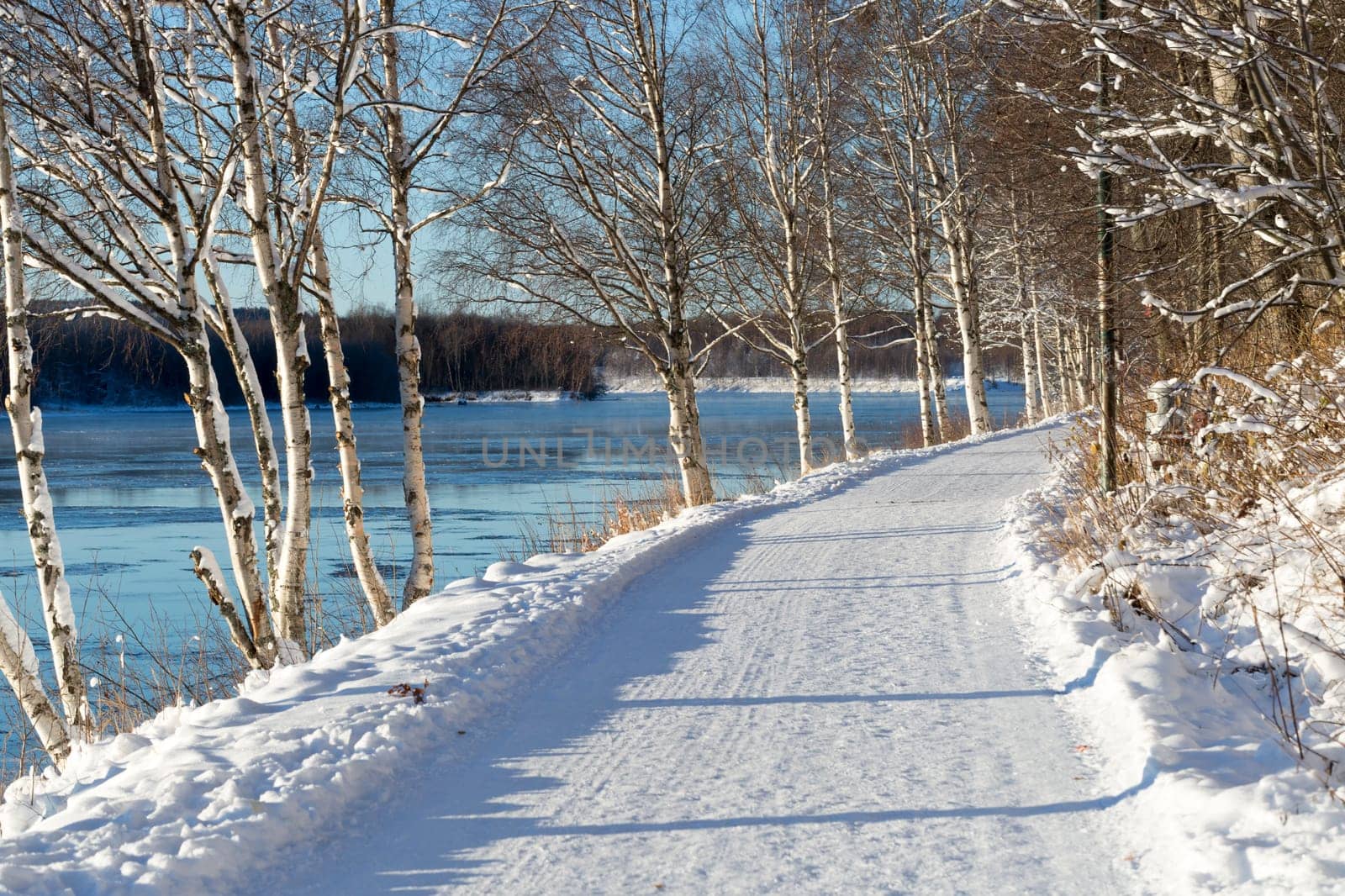 Winter Landscape in Umeå, Sweden and its river.