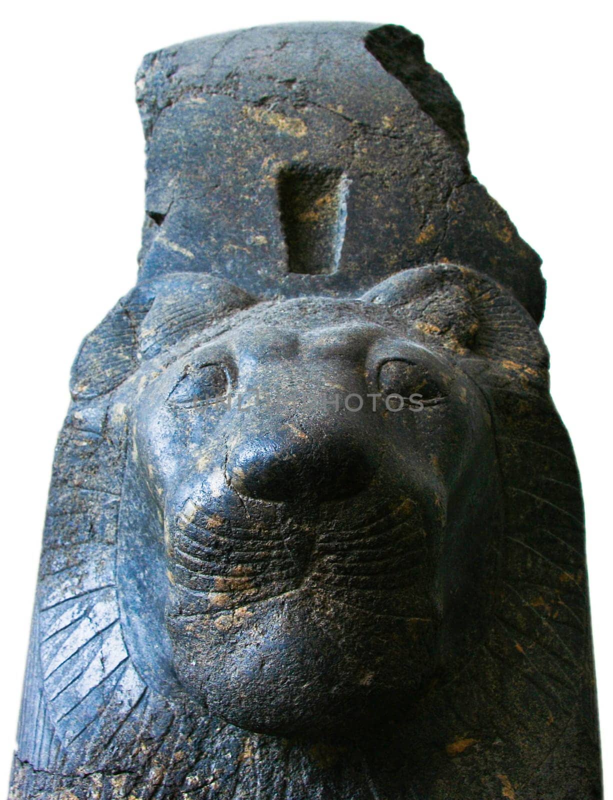 Granodiorite stone head of Statue of the Goddess Sekhmet