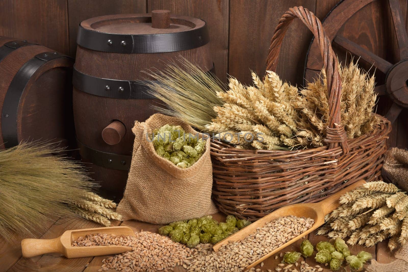 Two beer barrels with wheat,barley,hops and malt