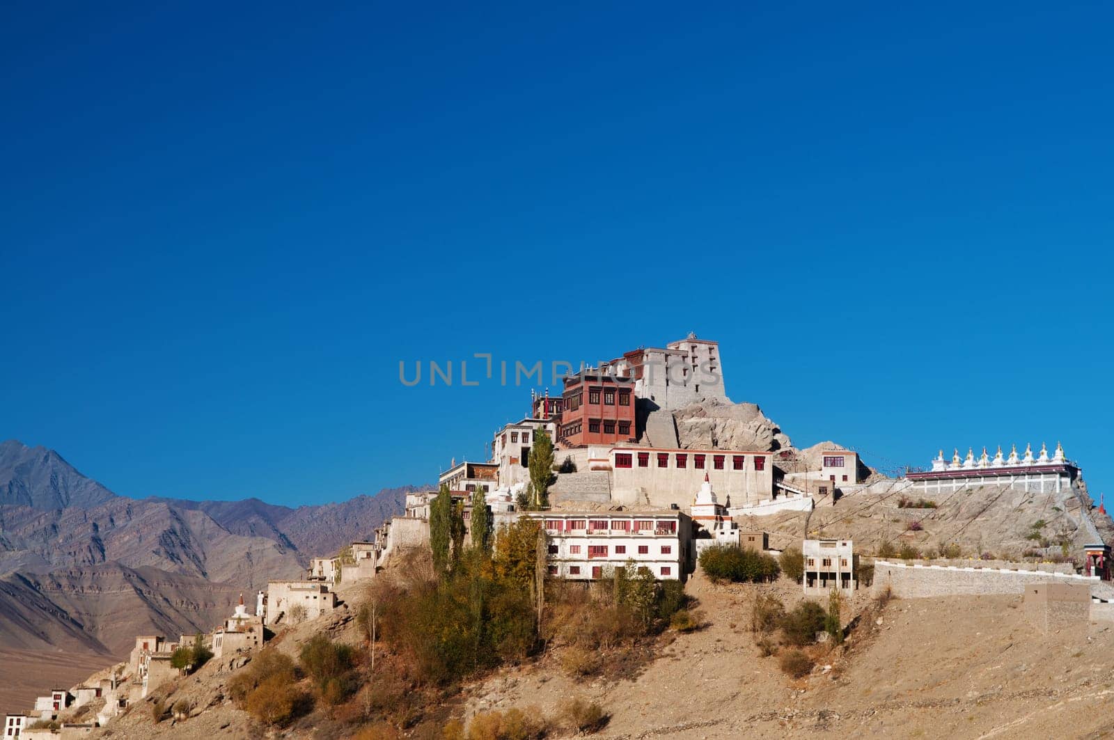 Thiksey Monastery in deep blue sky, Leh, Ladakh, Northern India.
