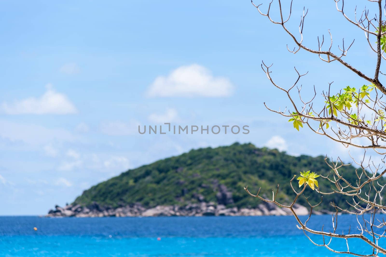 Beautiful natural landscape blue sky and sea under the tree at beach front of Koh Miang Island during summer in Mu Ko Similan National Park, Phang Nga Province, Thailand