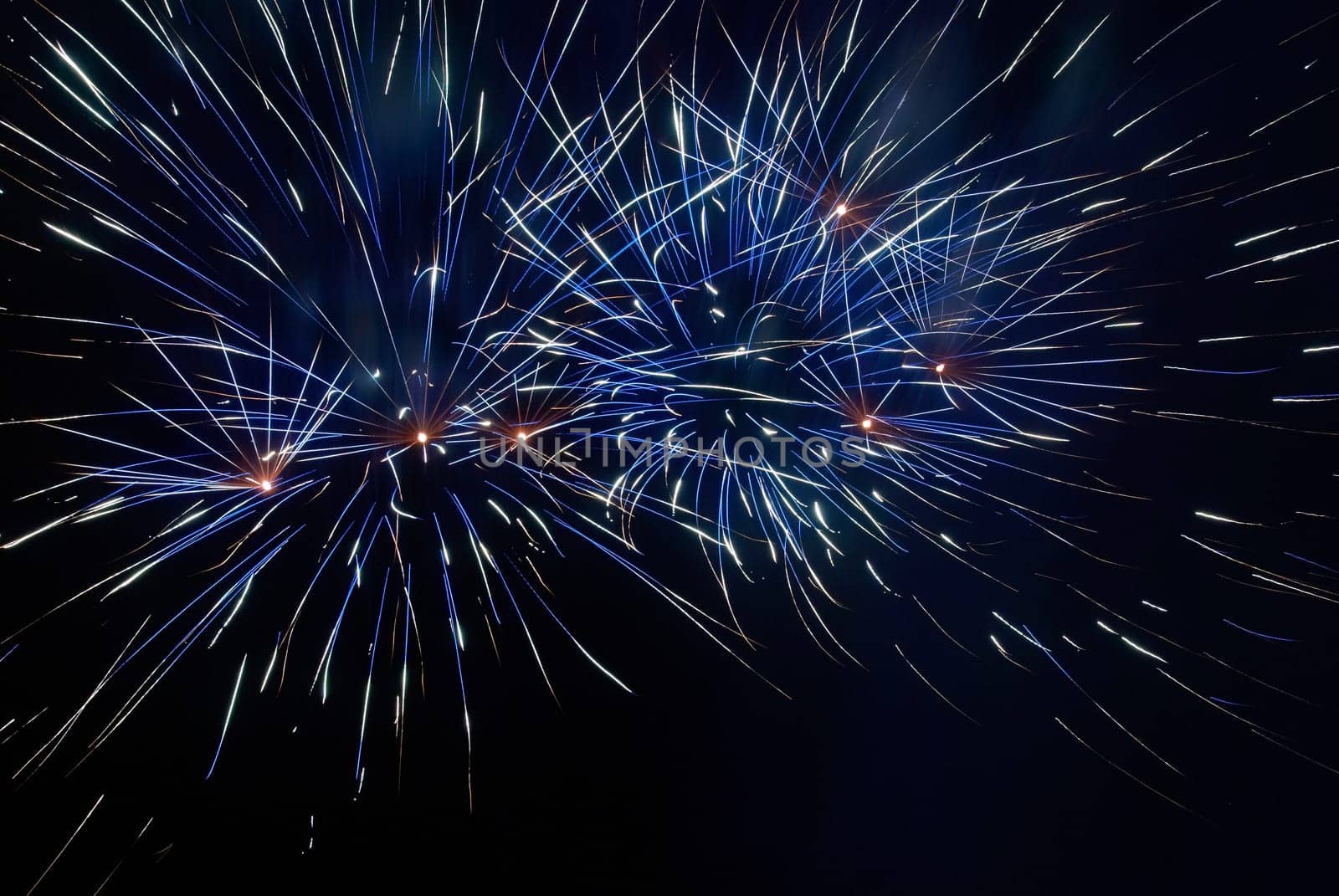 Colorful fireworks on the black sky background