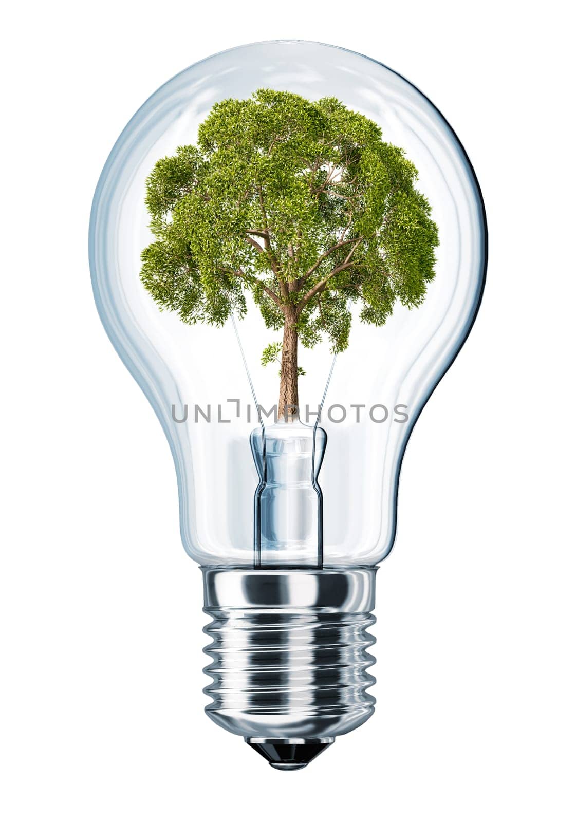 Light bulb with tree in place of filament. On white background.