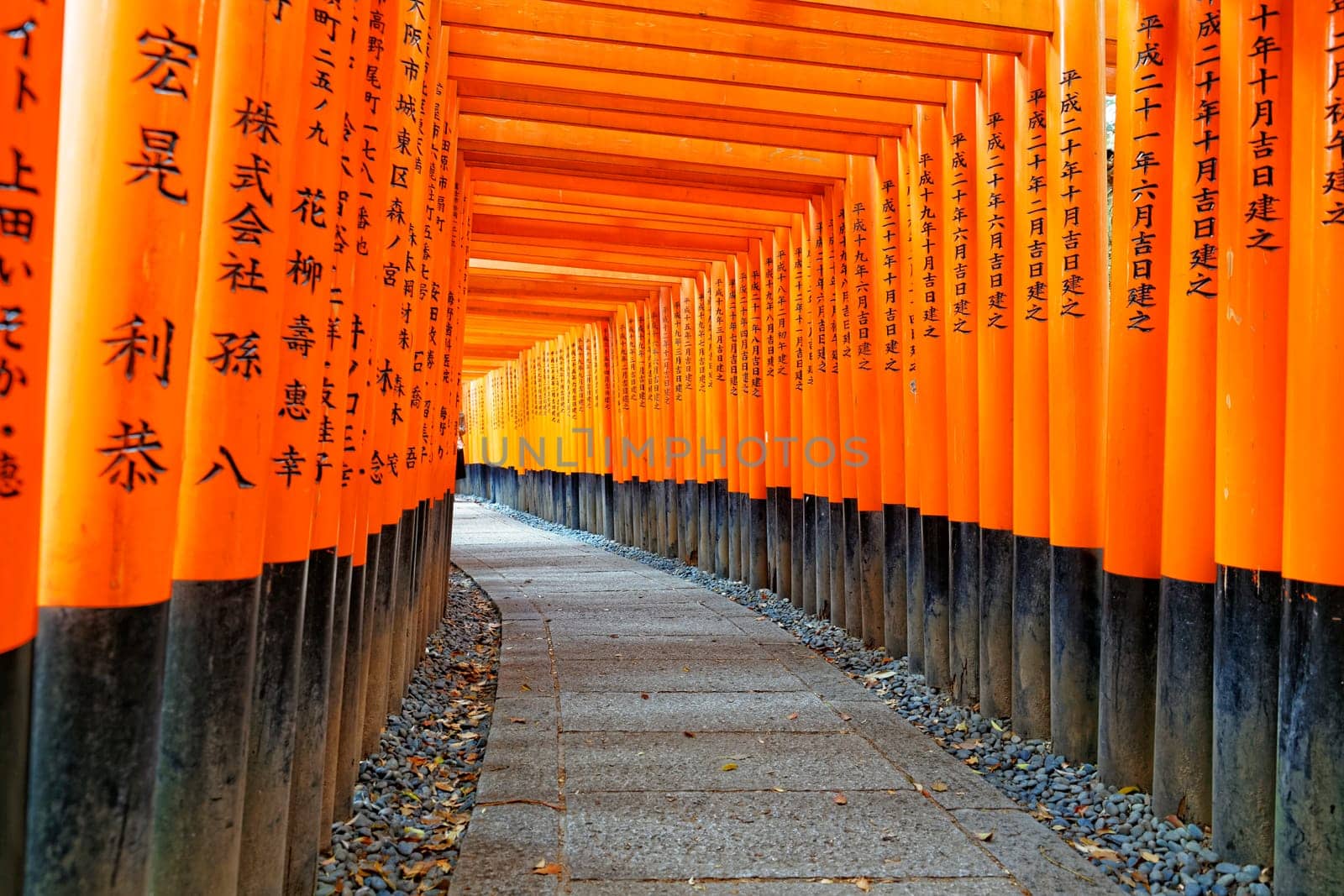 Fushimi Inari Shrine Torii temple in kyoto Japan