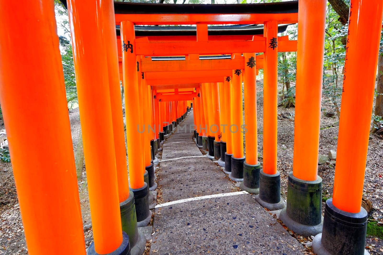 Fushimi Inari Shrine Torii temple in kyoto Japan
