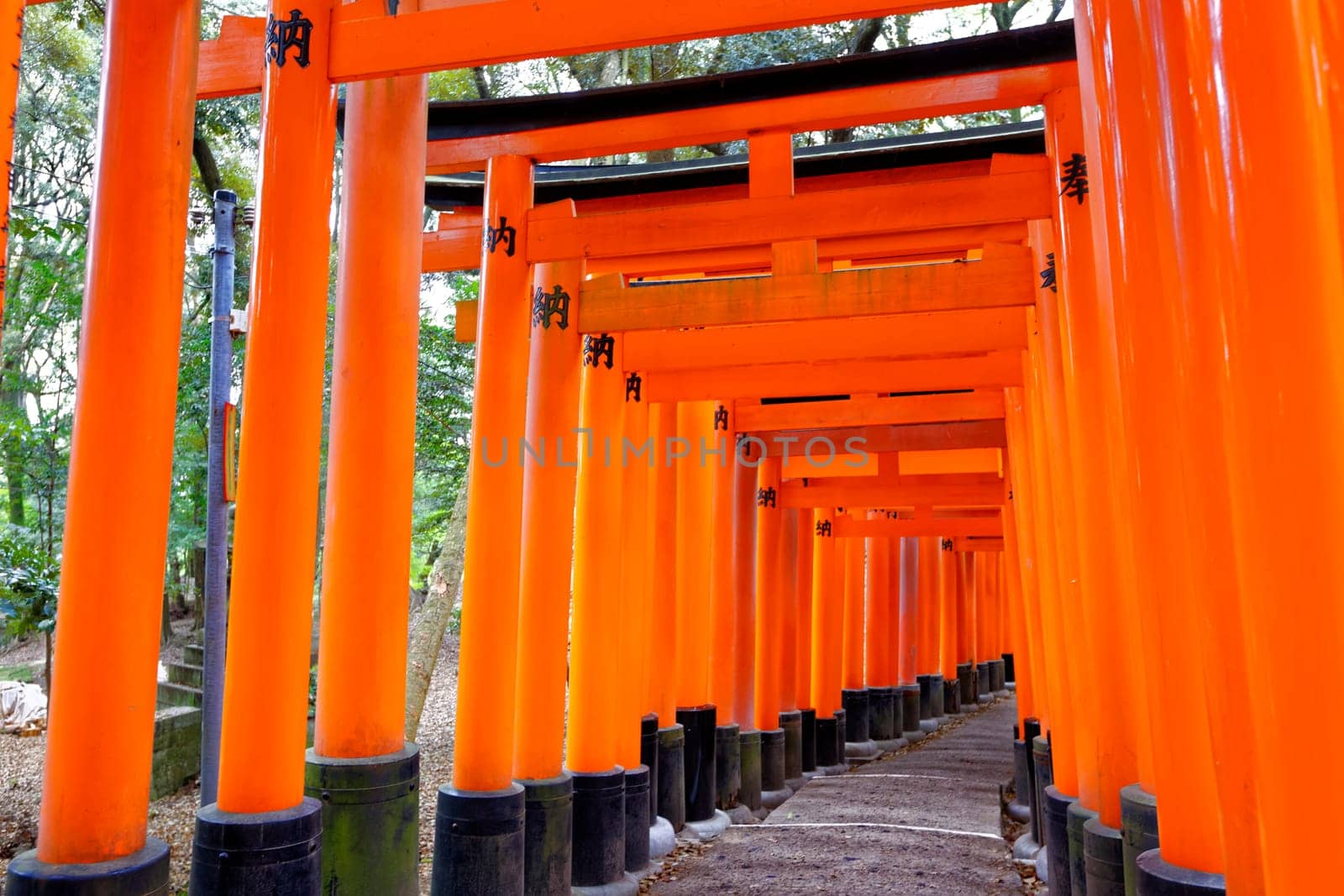 Fushimi Inari Shrine Torii temple in kyoto Japan