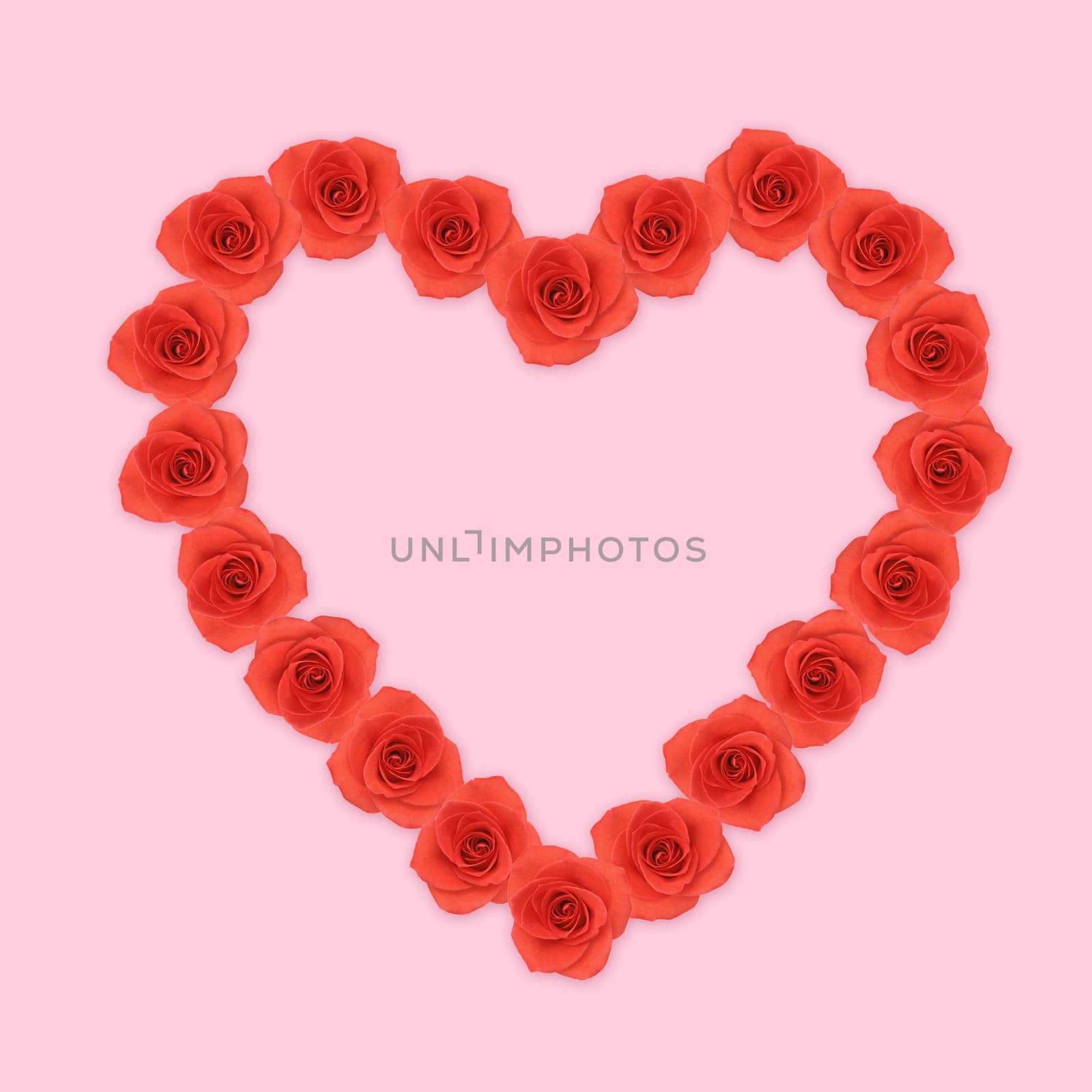 Heart shape red rose flowers on pink background
