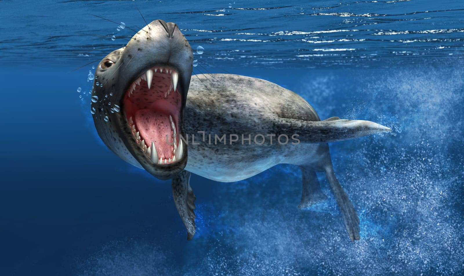 Leopard seal with close up on head and open mouth showing sharp teeth. Swimming under water, with blue ocean background.