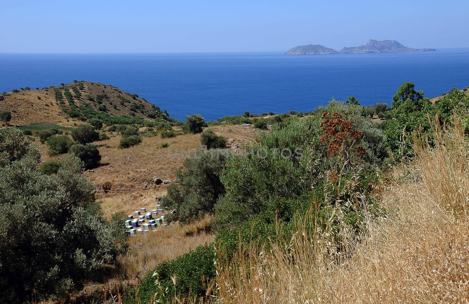 Landscape of Crete