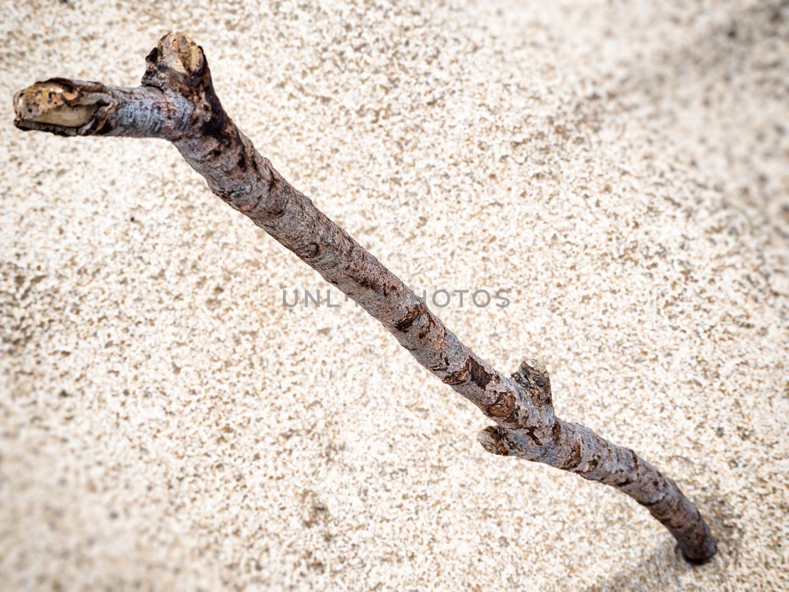 stick dipped in the sand. image in a solitary beach