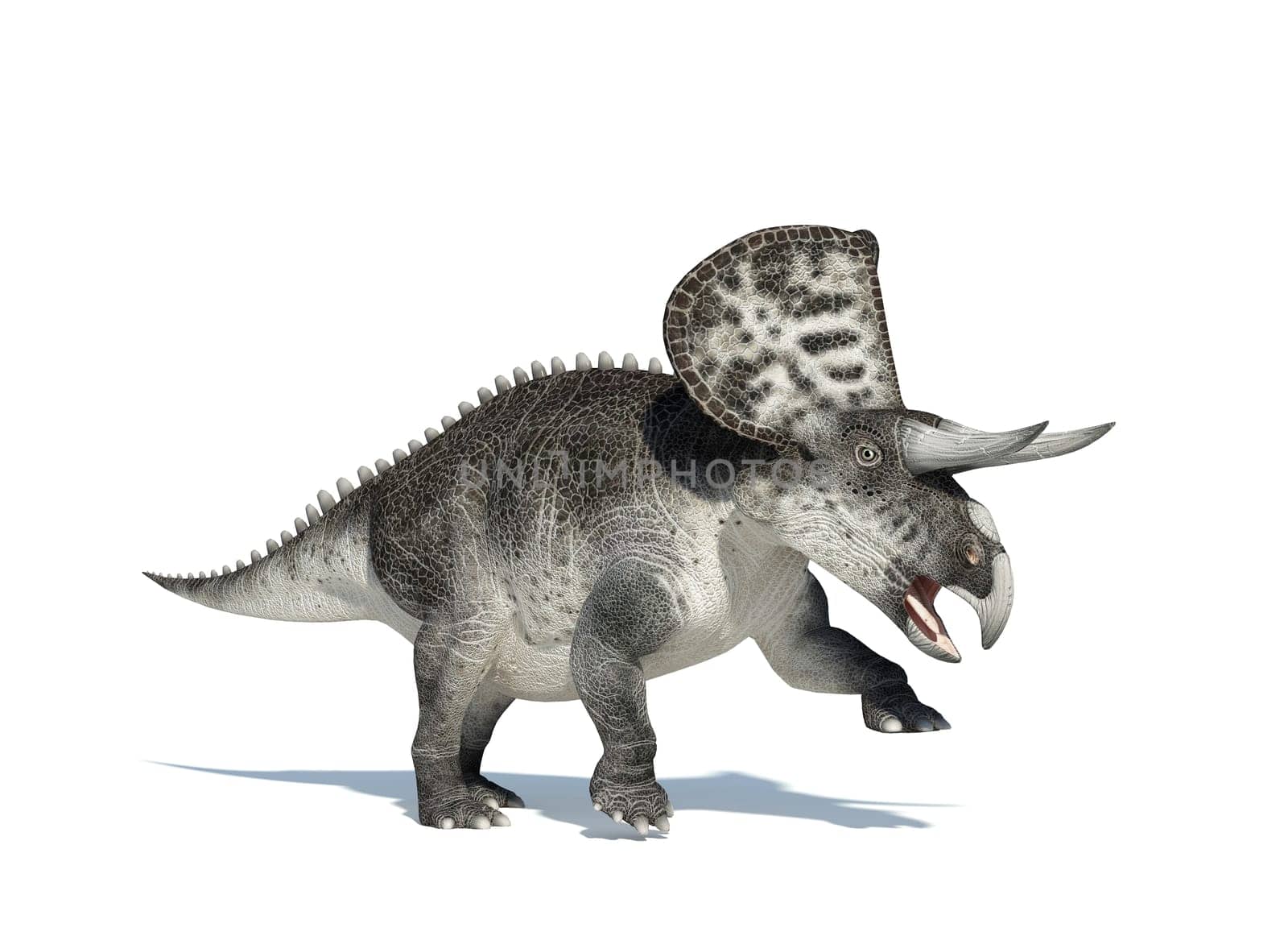 Zuniceratops on white background. With clipping path included.