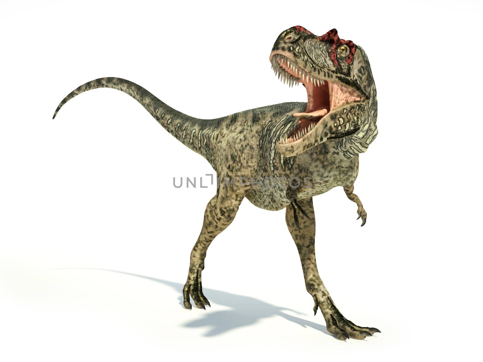 Albertosaurus Dinosaur, photorealistic and scientifically correct representation, dynamic posture. On white background with drop shadow. Clipping path included.