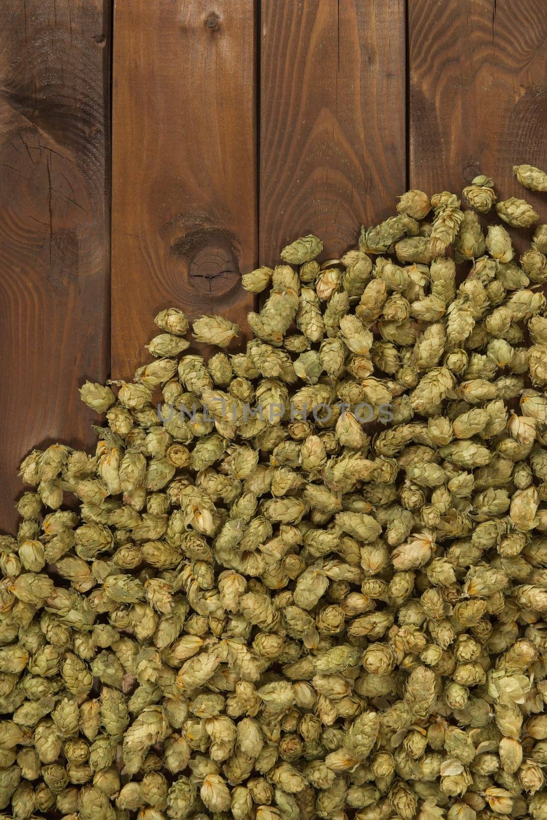 many dried hop cones on old weathered wooden boards