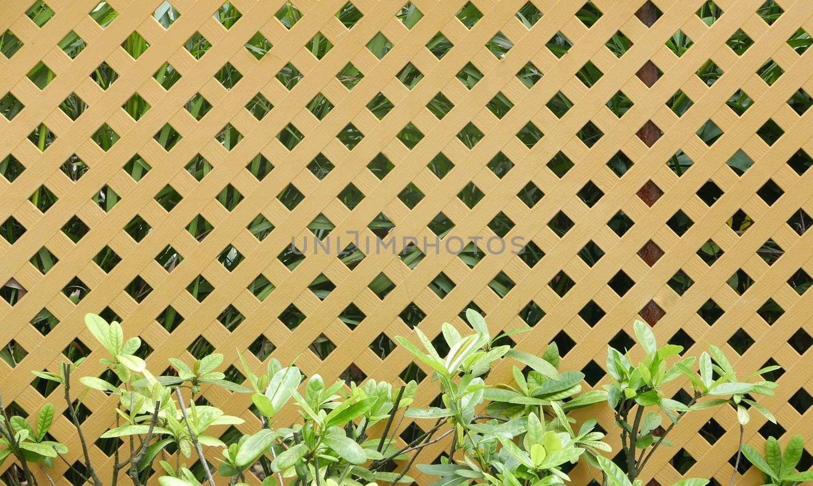 gardening brown fence with green plants