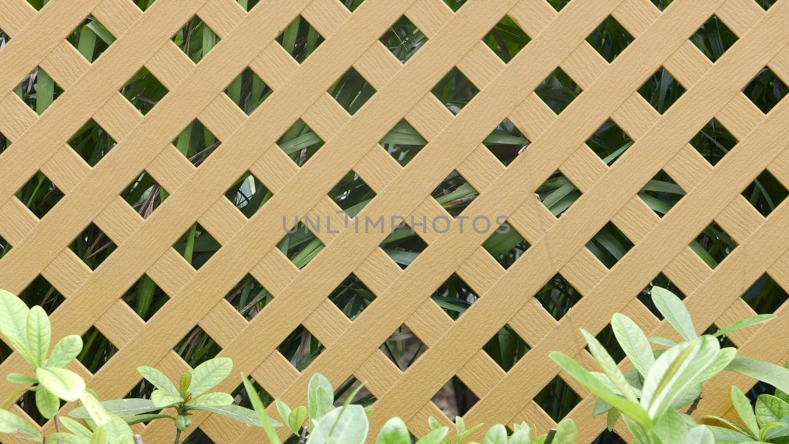 gardening brown fence with green plants