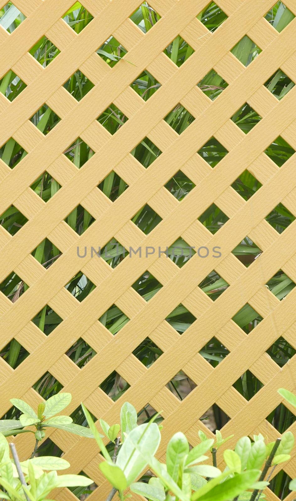 gardening brown fence with green plants