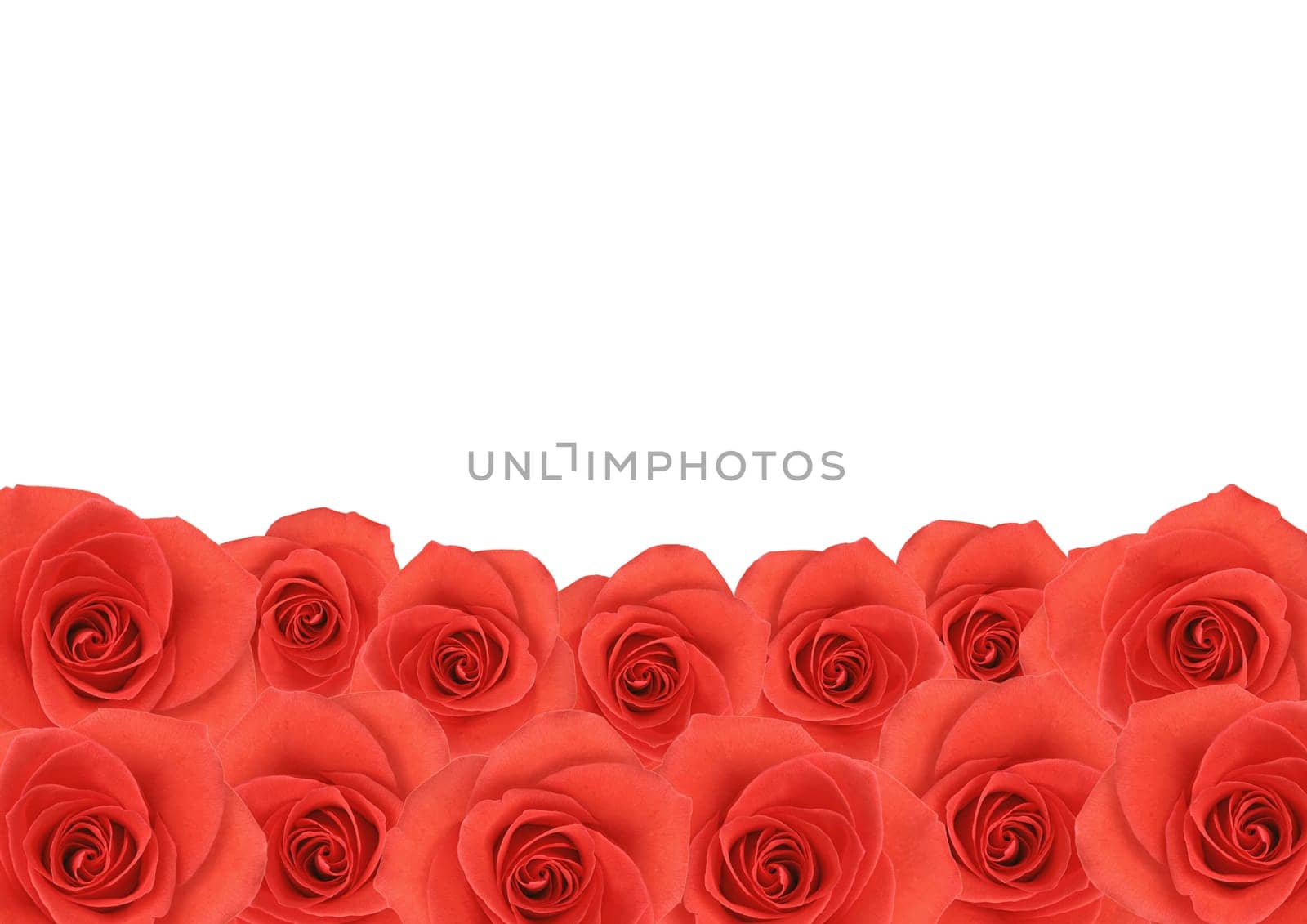 Red rose flowers textured background