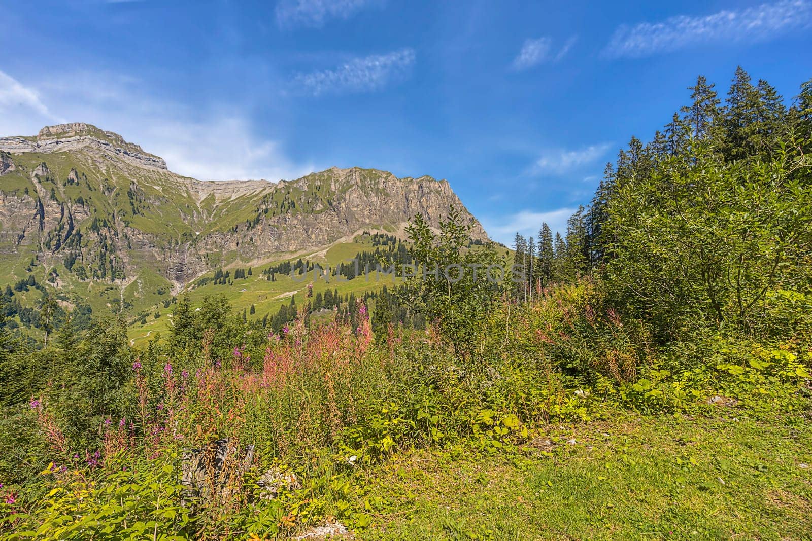 Pragel Pass