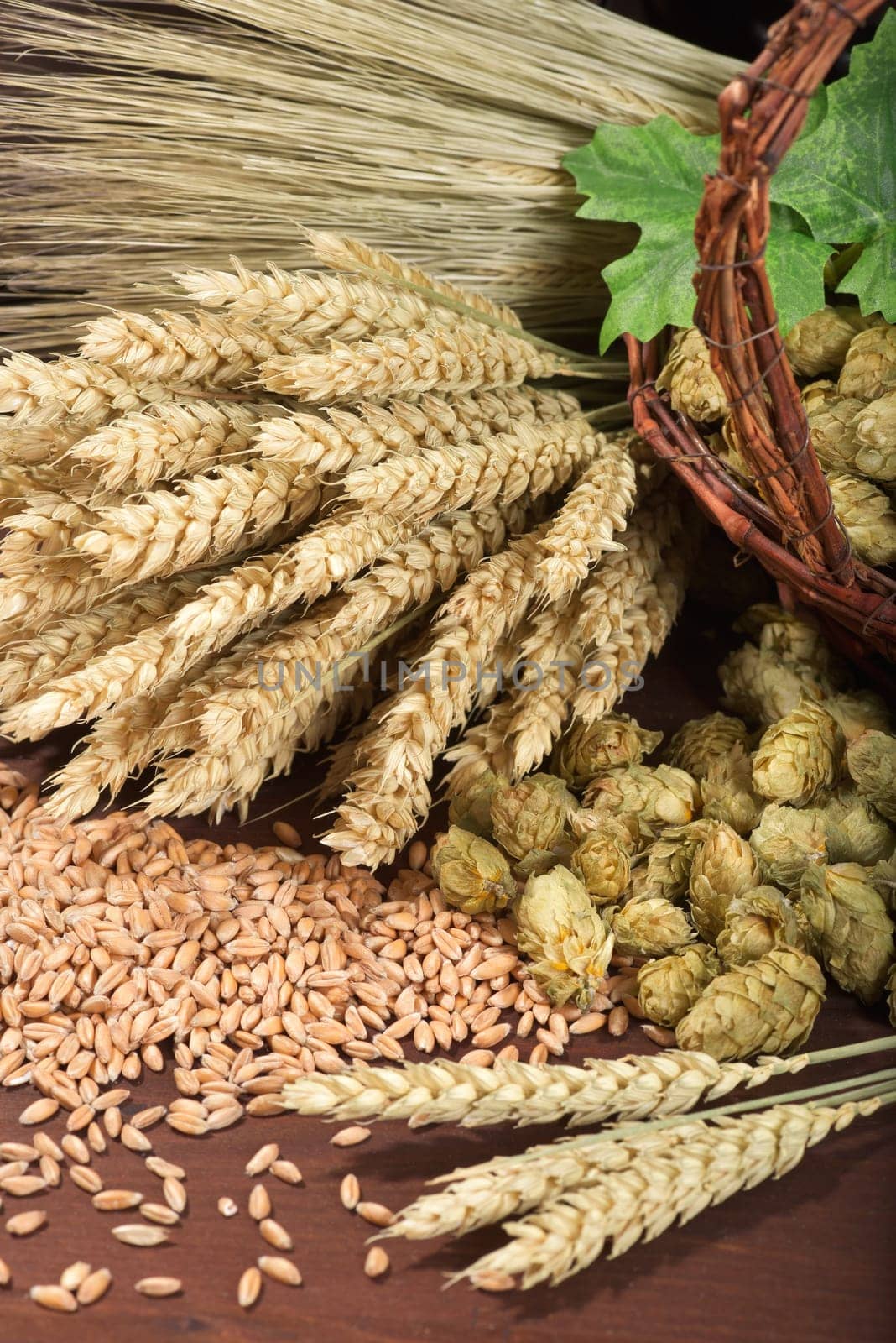 Beer ingredients - wheat,barley,hops and malt