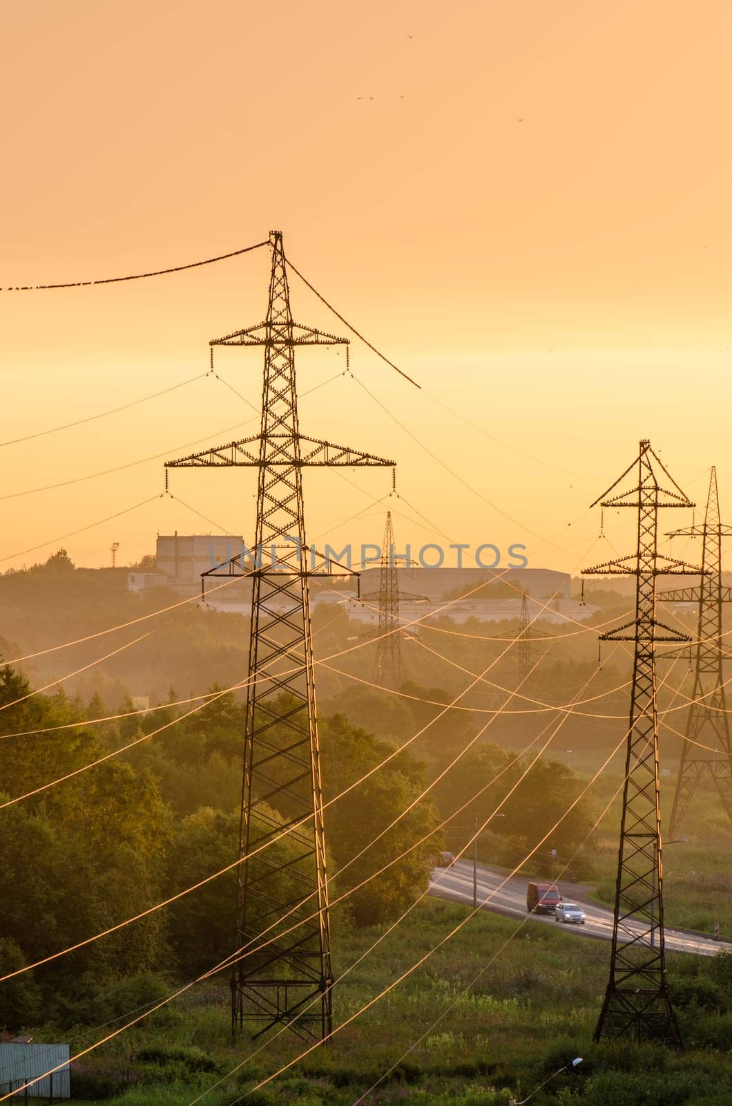 Flock of birds on wires Power lines illuminated by the setting sun