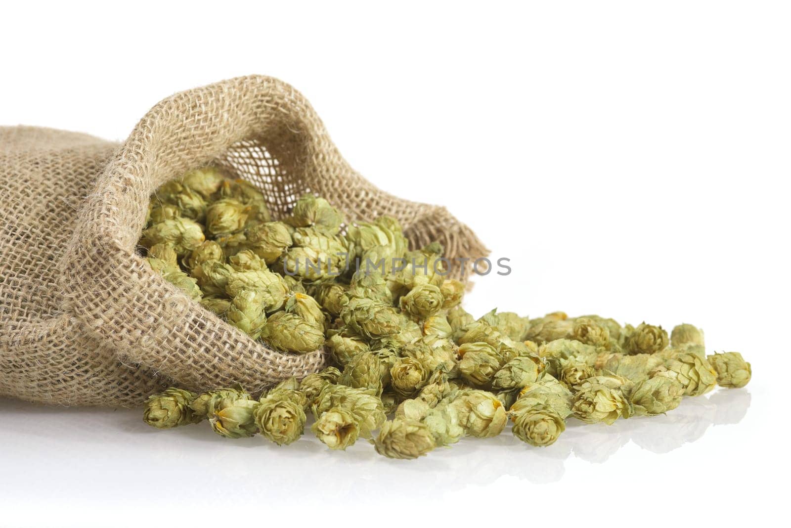 many dried hop cones for beer and brewery in jutesack