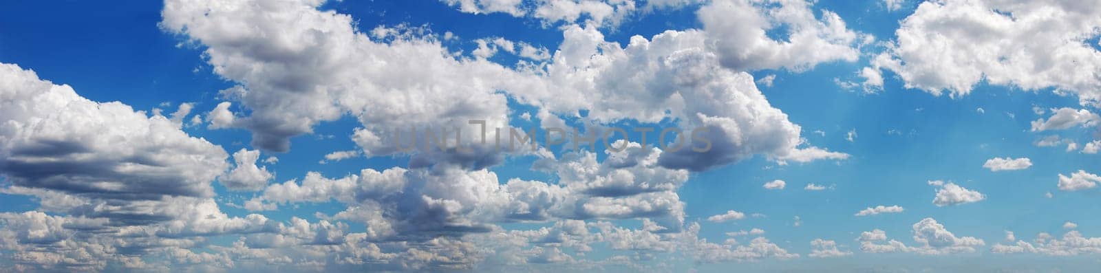 Blue sky with many cumulus fluffy white clouds. Very wide format.