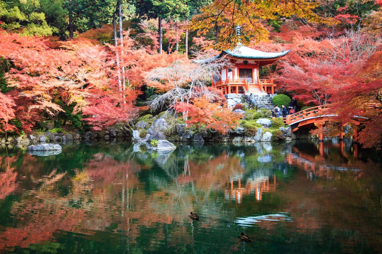Kyoto, Japan - November 24, 2013