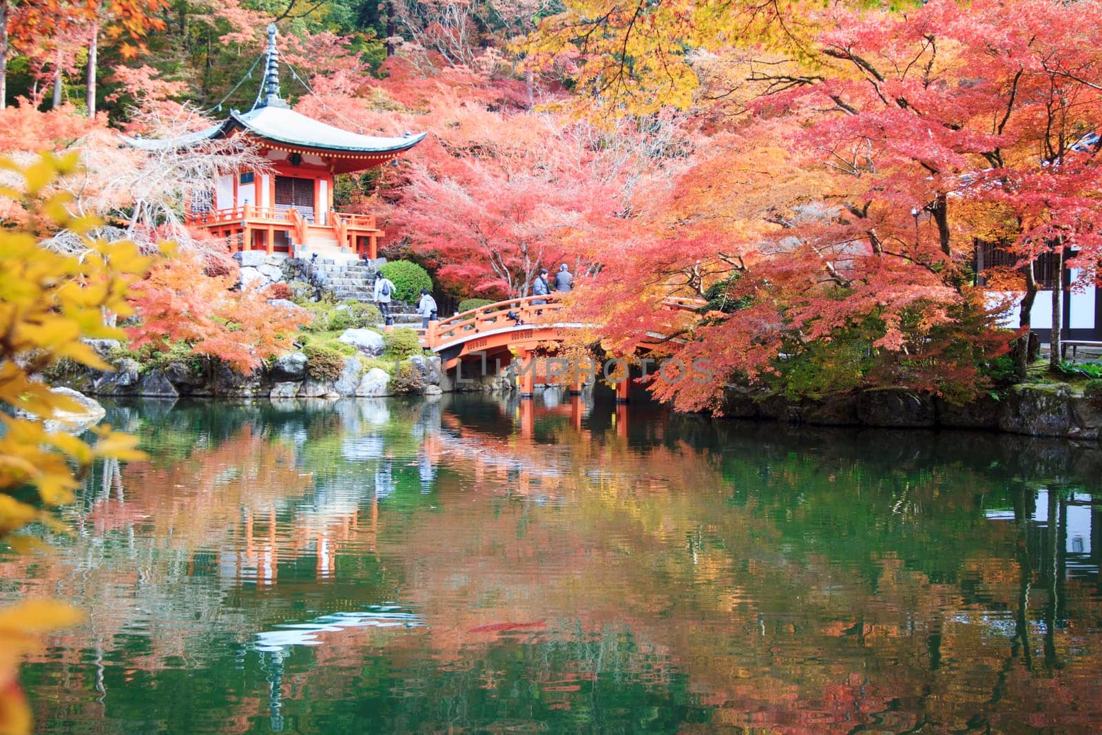 Kyoto, Japan - November 24, 2013