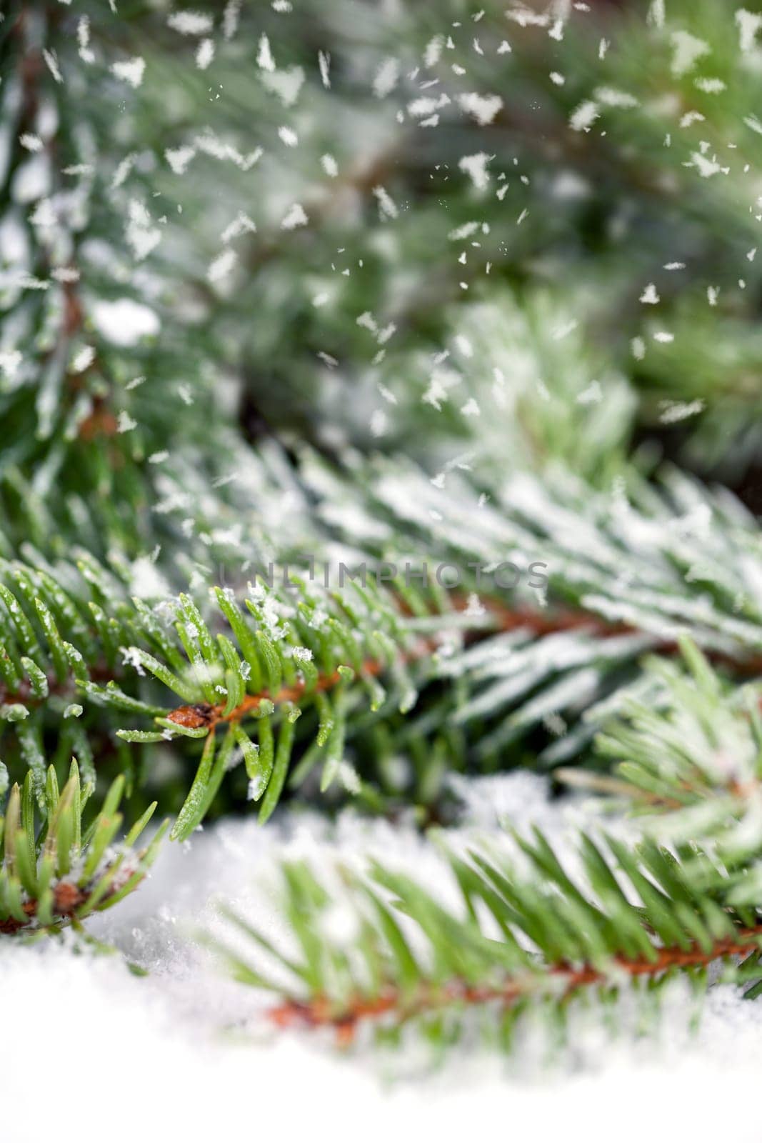 Winter Background