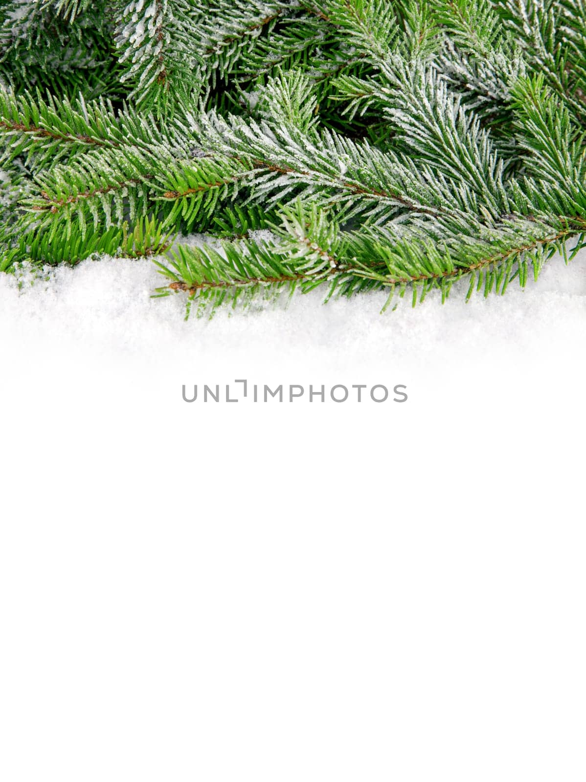 Winter Background