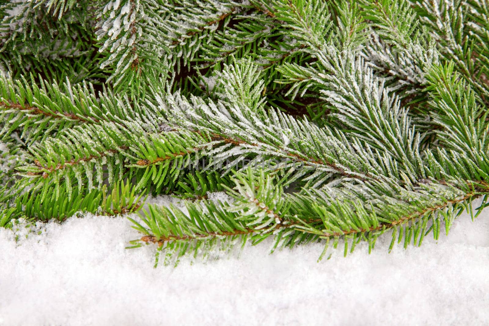 Winter Background