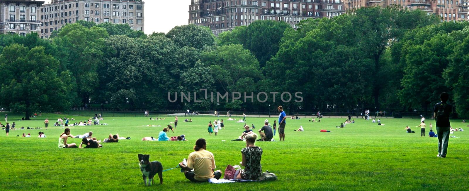 NEW YORK - JUNE 22