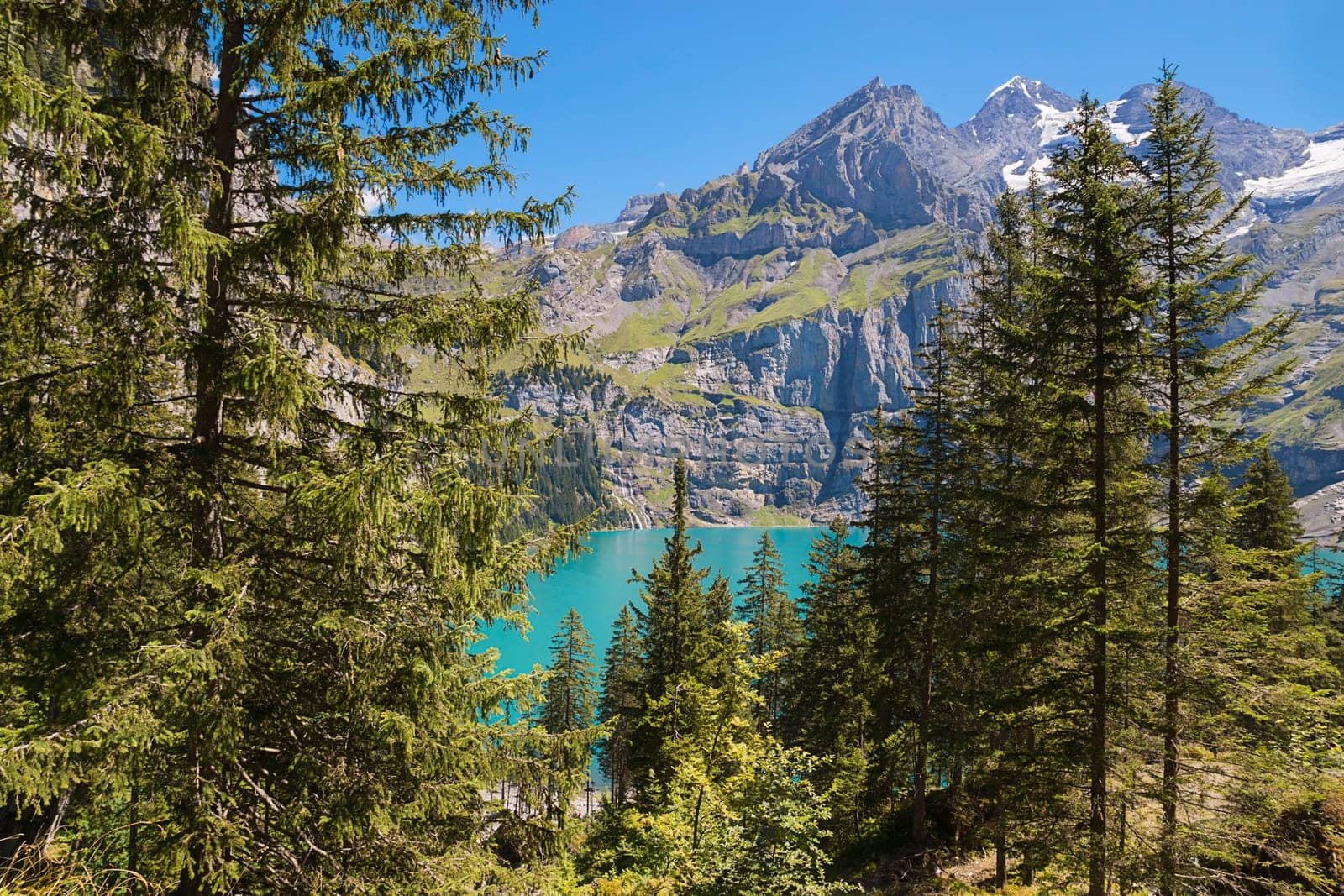 Mountain forest with Oeschinensee
