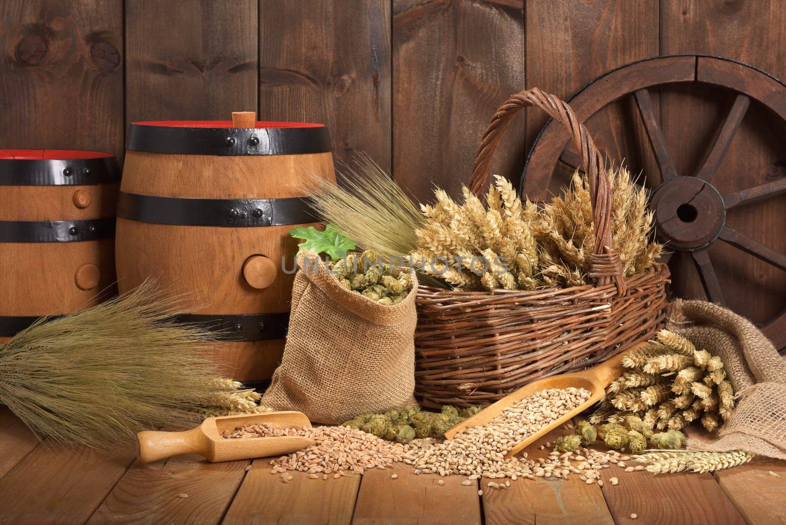 Two beer barrels with wheat,barley,hops and malt