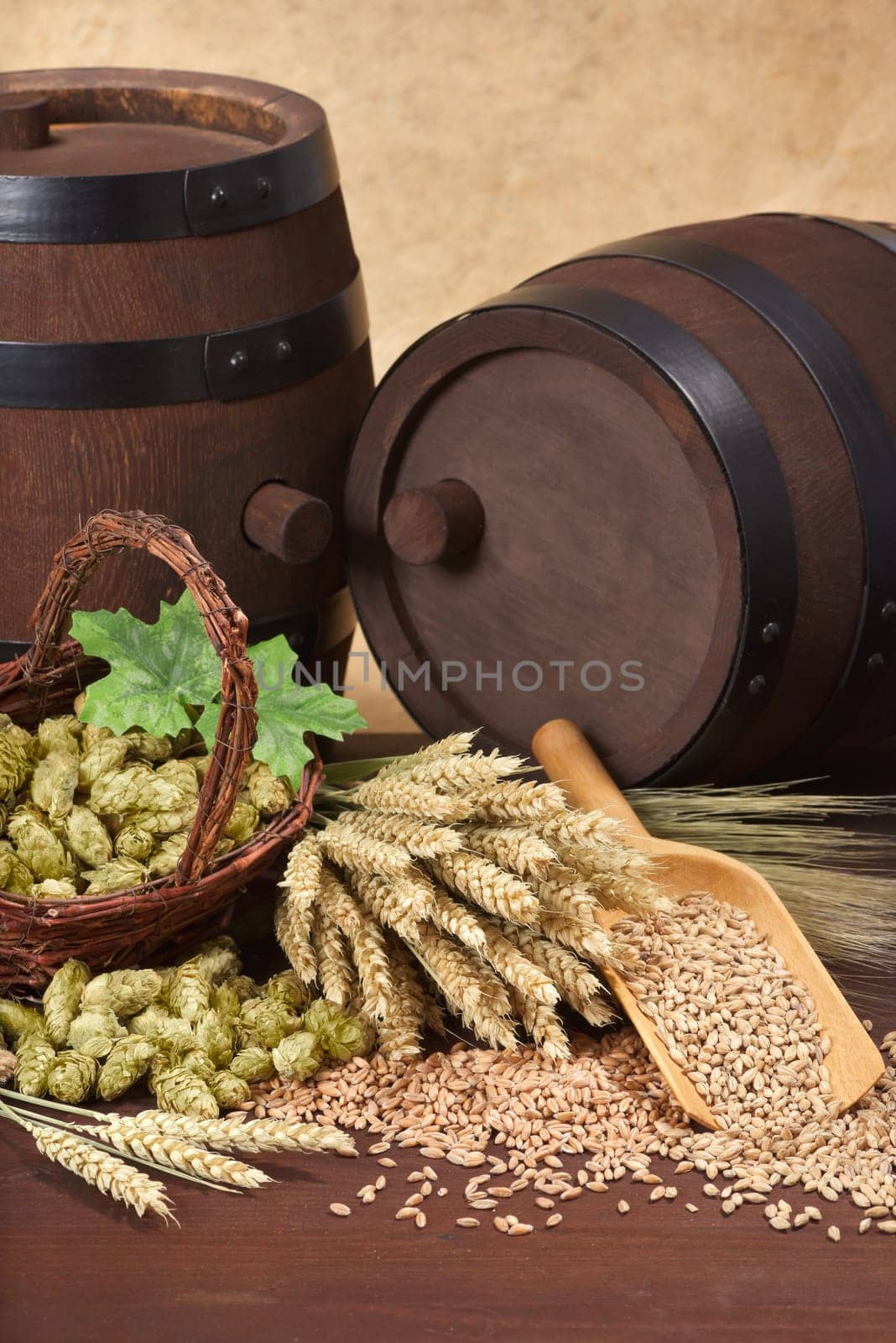 Two beer barrels with wheat,barley,hops and malt