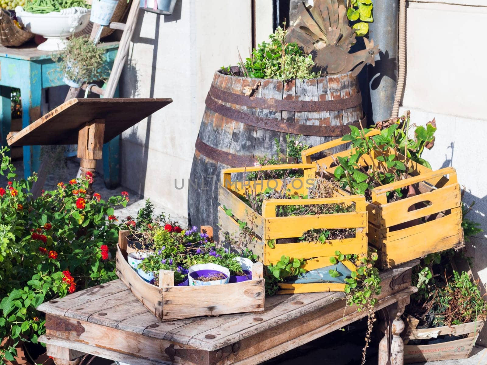 wooden boxes flowers colored. Flower in a street market