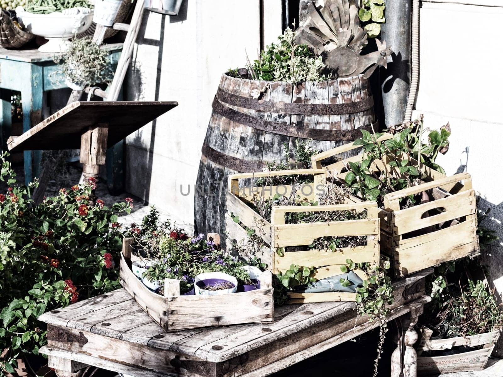 wooden boxes flowers colored. Flower in a street market