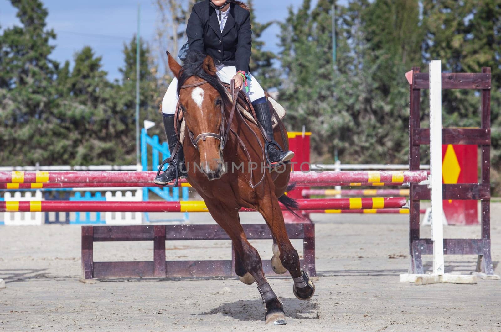 Detailed view of a boot rider with spurs at jumping competition