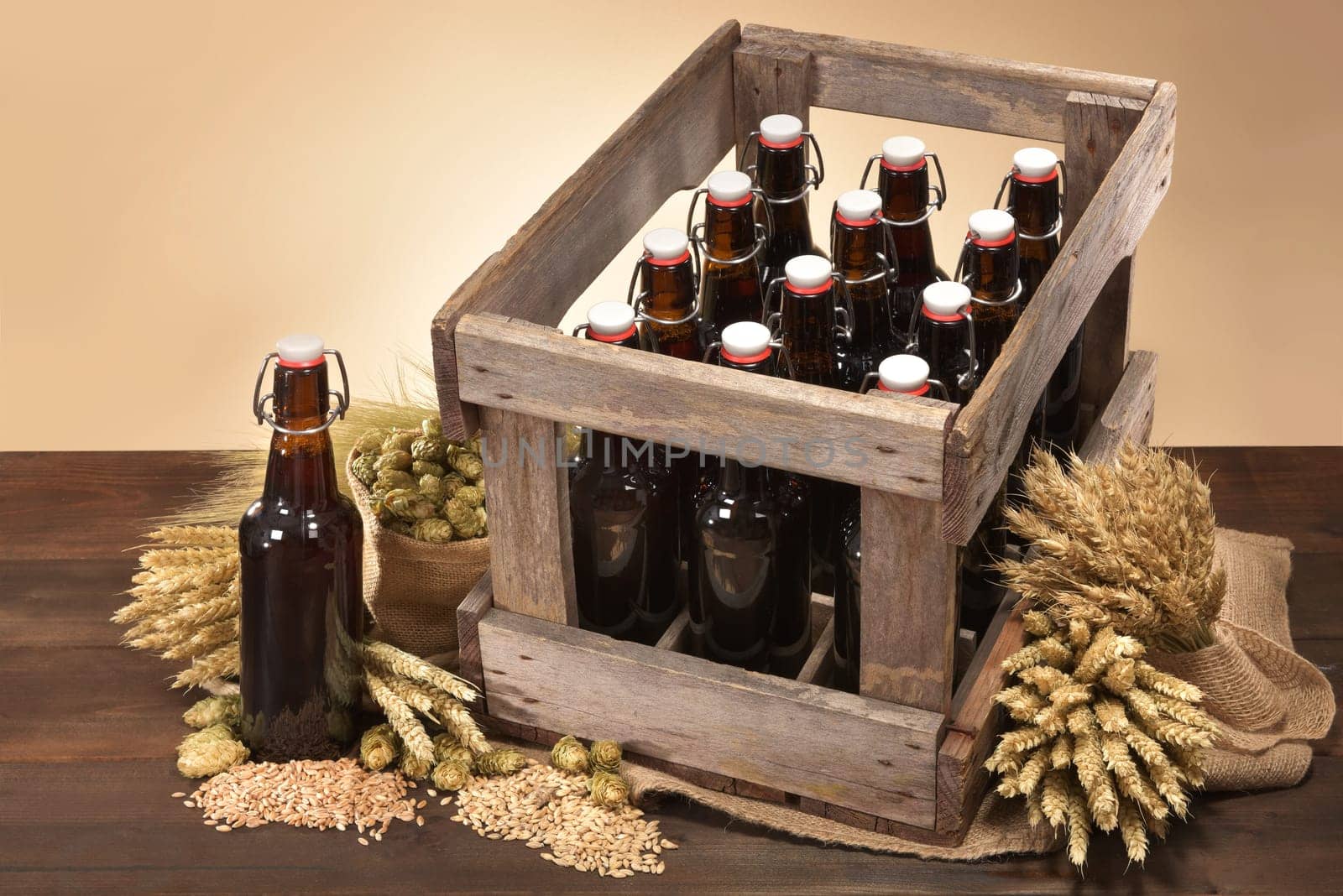 Beer box and beer bottle with wheat,barley,hops and malt